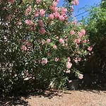 아파트 Dans Maison, Independant Et Jardin 페르피냥