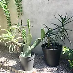 Dans Maison, Independant Et Jardin