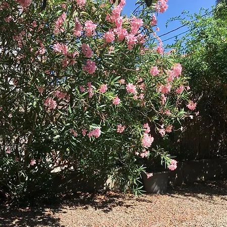 Apartment Dans Maison, Independant Et Jardin Perpignan