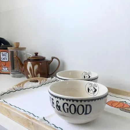 公寓 Dans Maison, Independant Et Jardin 佩皮尼昂