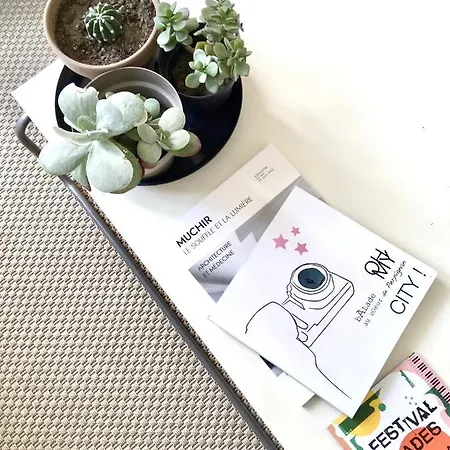 公寓 Dans Maison, Independant Et Jardin 佩皮尼昂